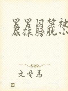 男男囚禁被迫憋尿揉膀胱小说