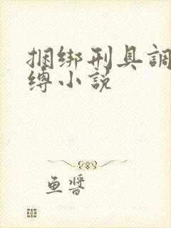 捆绑刑具调教束缚小说