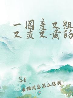 一国产又粗又猛又爽又黄的视频