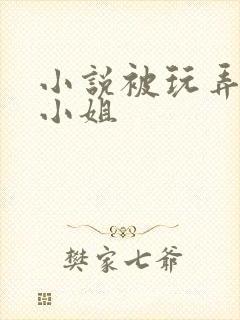 小说被玩弄的大小姐