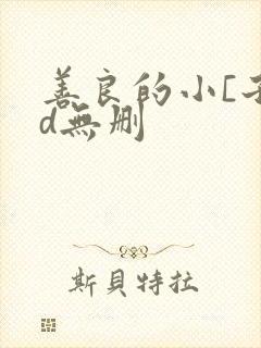 善良的小[子hd无删