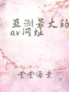 亚洲最大的天堂av网址