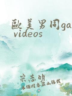欧美男同gay videos