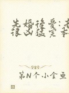 先婚后爱:老公很凶猛完本txt下载