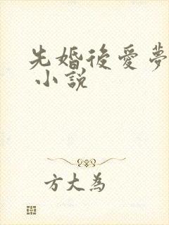 先婚后爱梦筱二 小说
