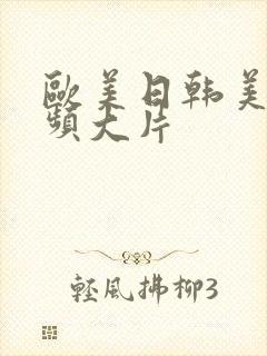 欧美日韩美女视频大片