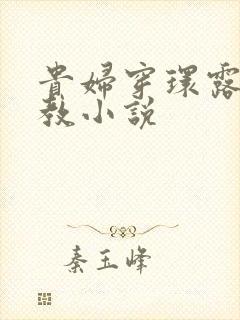 贵妇穿环露出调教小说