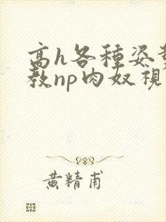 高h各种姿势调教np肉奴视频