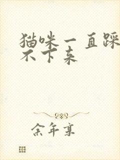 猫咪一直踩奶停不下来