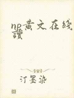 np黄文在线阅读