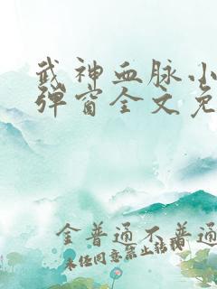 武神血脉小说无弹窗全文免费阅读