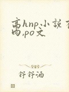 高hnp小说有肉,po文