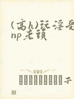 (高h)玩淫受np老头