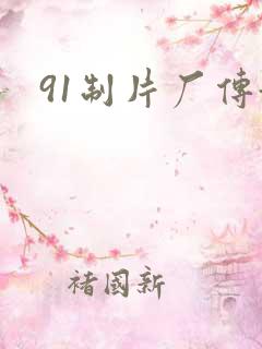 91制片厂传媒