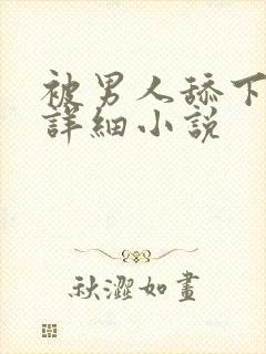 被男人舔下面的详细小说