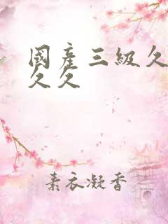 国产三级久久久久久