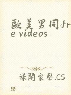 欧美男同free videos