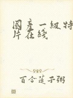 国产一级特黄大片在线