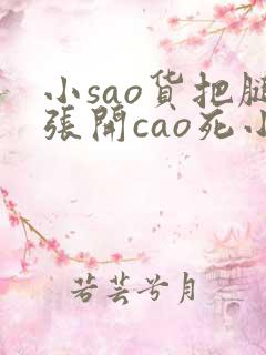 小sao货把腿张开cao死小说