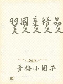 99国产精品欧美久久久久久