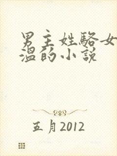 男主姓骆女主姓温的小说