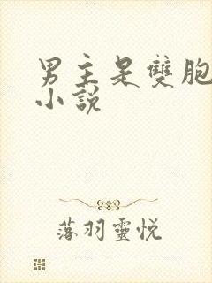 男主是双胞胎的小说