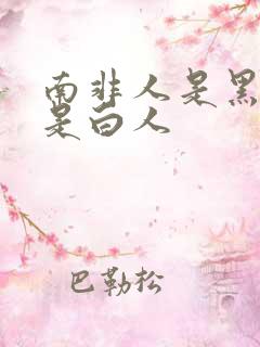 南非人是黑人还是白人