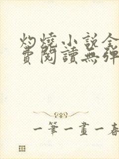 灼烧小说全文免费阅读无弹窗