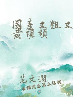 国产又粗又爽又黄视频