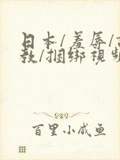 日本/羞辱/调教/捆绑视频