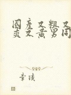 国产又粗又猛又爽又黄男同