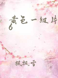 黄色一级片666
