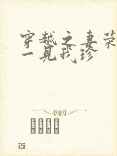 穿越之妻荣夫贵一见我珍