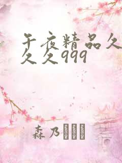 午夜精品久久久久久999