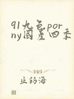 91九色porny国产四季