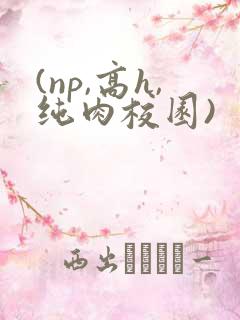(np,高h,纯肉校园)