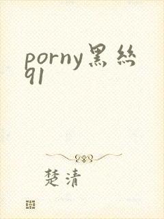 porny黑丝91