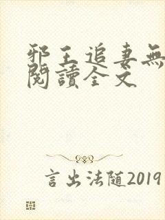 邪王追妻无删减阅读全文