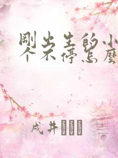 刚出生的小狗叫个不停怎么回事