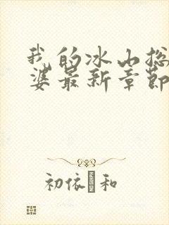 我的冰山总裁老婆最新章节阅读