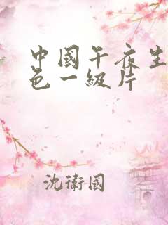 中国午夜生片黄色一级片