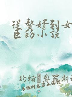 从赘婿到女帝宠臣的小说