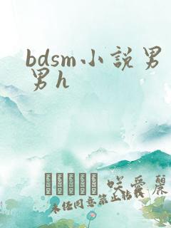 bdsm小说男男h