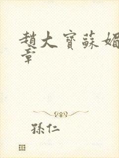 赵大宝苏媚第6章