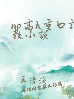 np高h重口调教小说