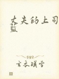 丈夫的上司向井蓝