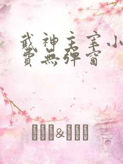 武神主宰小说免费无弹窗