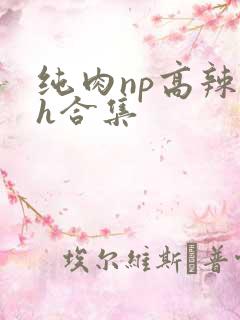 纯肉np高辣文h合集