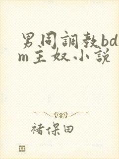 男同调教bdsm主奴小说