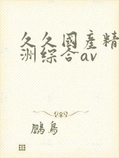 久久国产精品亚洲综合av